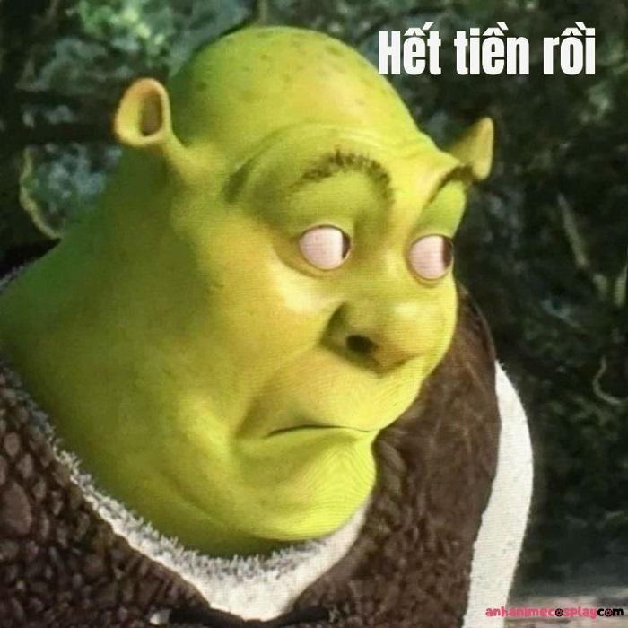 hết tiền meme